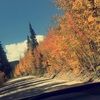 abbyharris688